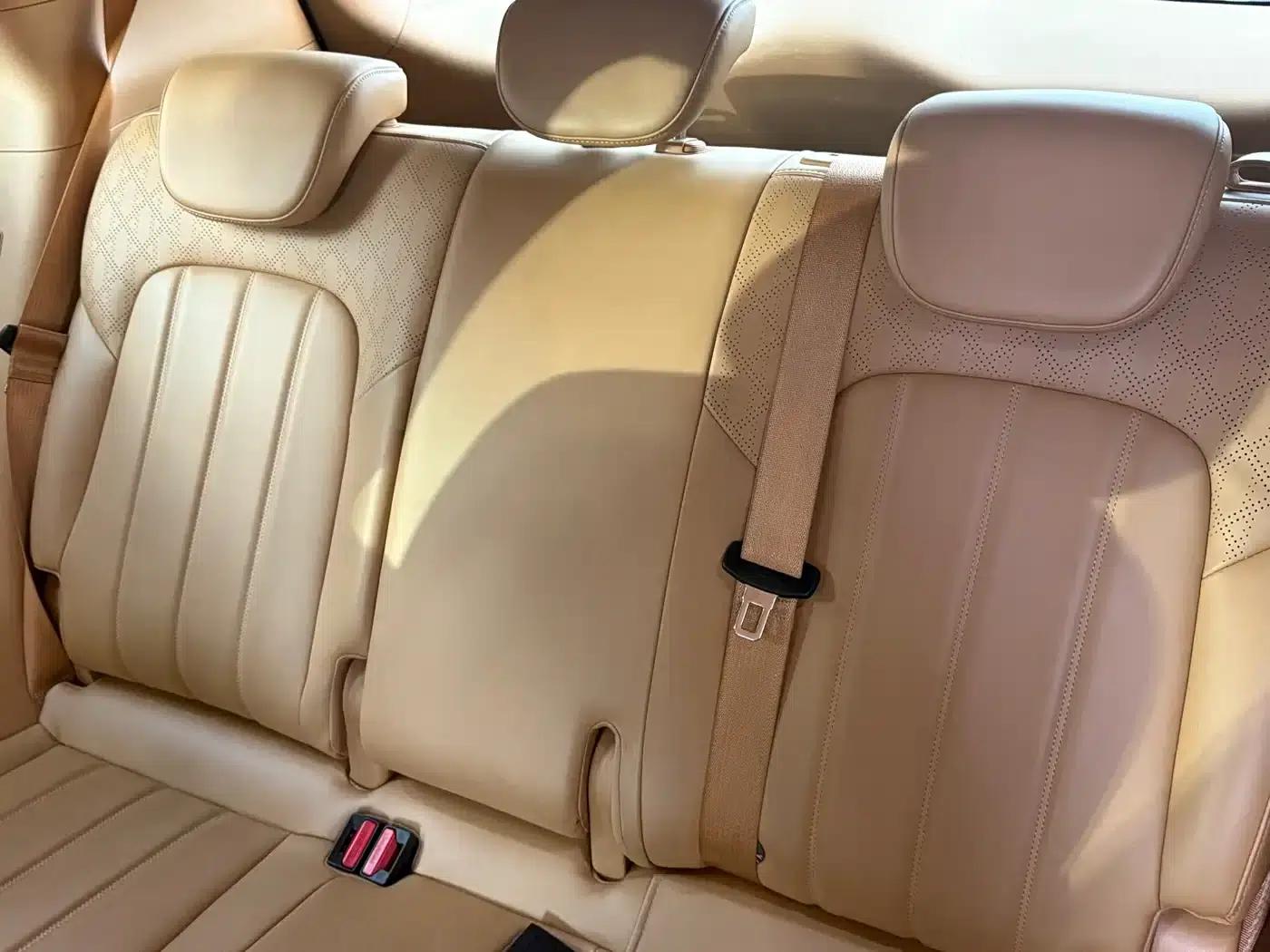 Voyah Dreamer 2024 EV Extended Range Superior Edition — миниатюра 7