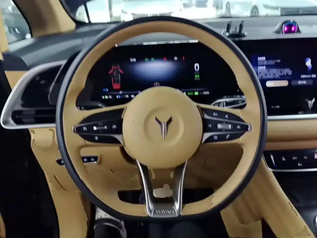 Voyah Dreamer 2022 Low-Carbon Edition — миниатюра 11