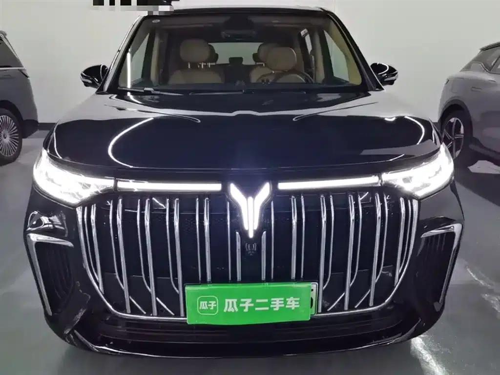 Voyah Dreamer 2022 Low-Carbon Edition — миниатюра 3