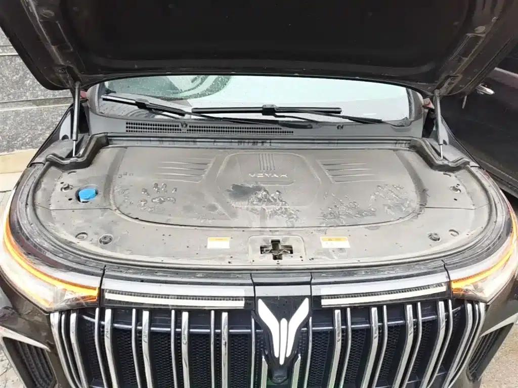 Voyah Dreamer 2024 PHEV Extended Range Premium Edition — миниатюра 20