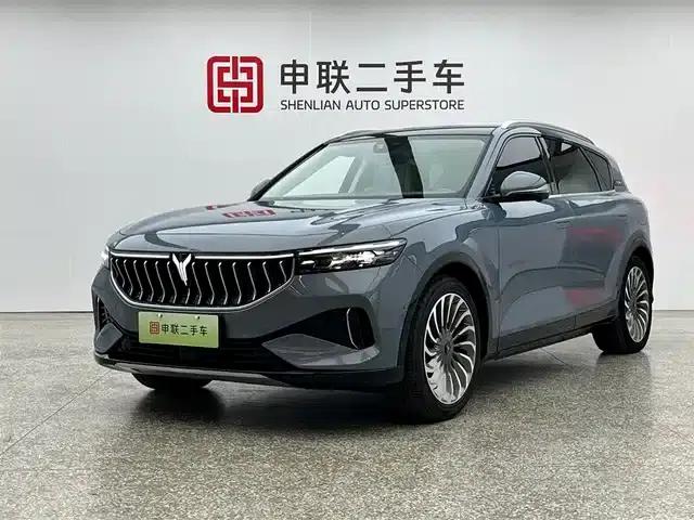 Voyah FREE 2021 All-Wheel Drive Pure Electric First Edition Exclusive Luxury Package