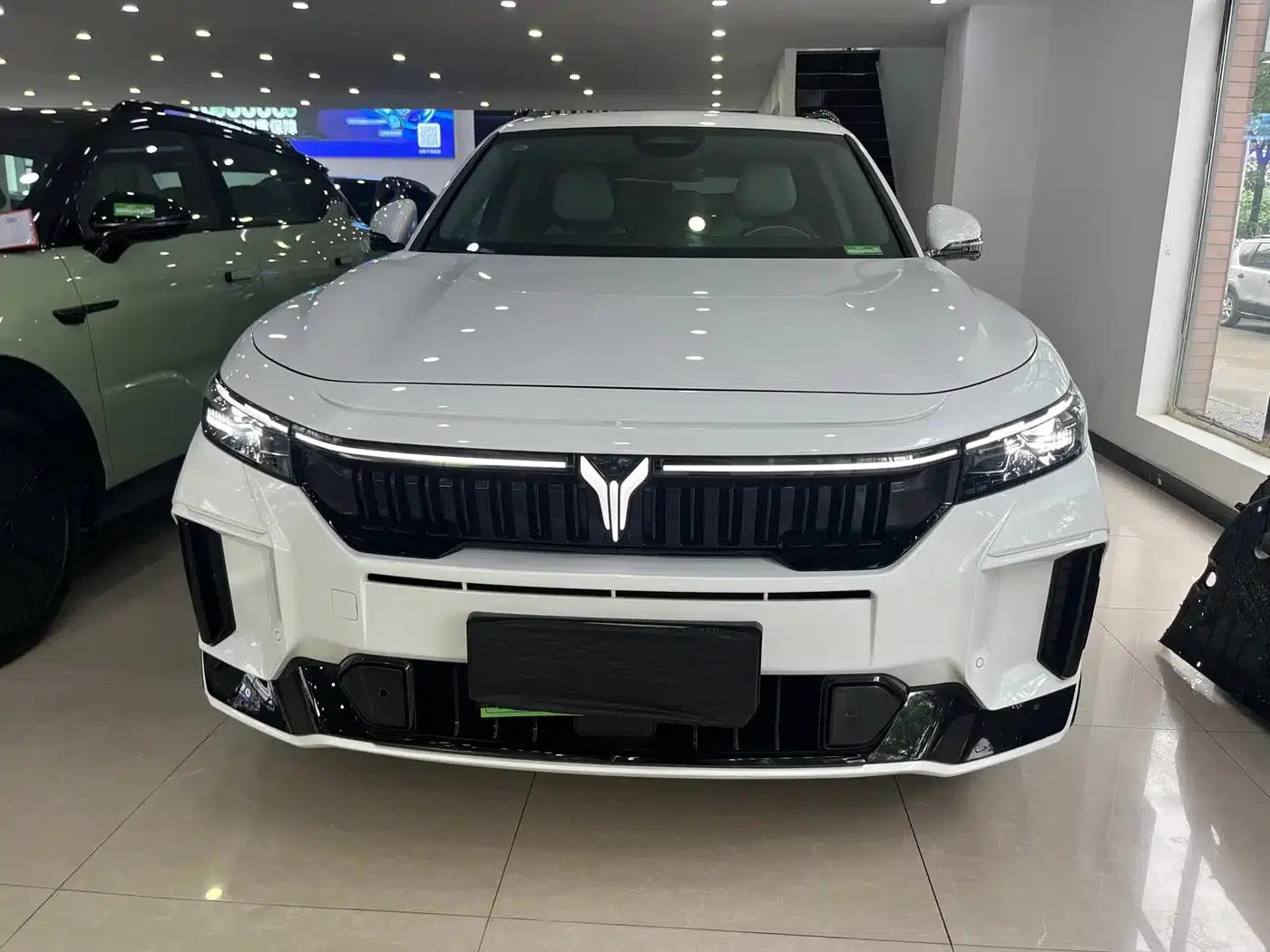 Voyah Free 2025 Model 318 318km Rear-Wheel Drive Touring Edition — миниатюра 2