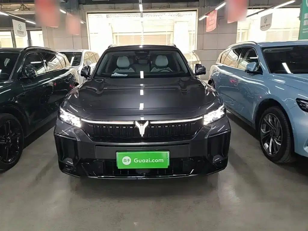 Voyah Free 2025 Model 318 318km Rear-Wheel Drive Touring Edition — миниатюра 3