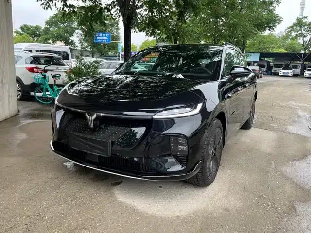 Voyah 2024 Long Range Supercharging Edition