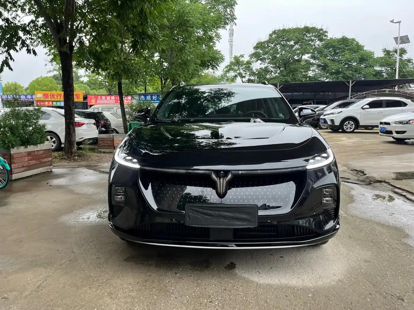 Voyah 2024 Global Edition (4WD) — миниатюра 2