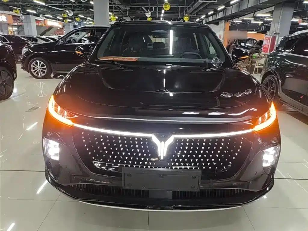 Voyah 2024 Global Edition (4WD) — миниатюра 3