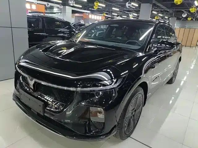 Voyah 2024 Global Edition (4WD)