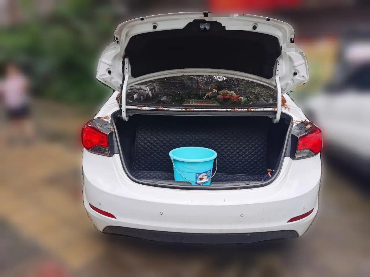 Hyundai Elantra (5th Generation / Langdong) 2016 1.6L Manual Luxury Model — миниатюра 20