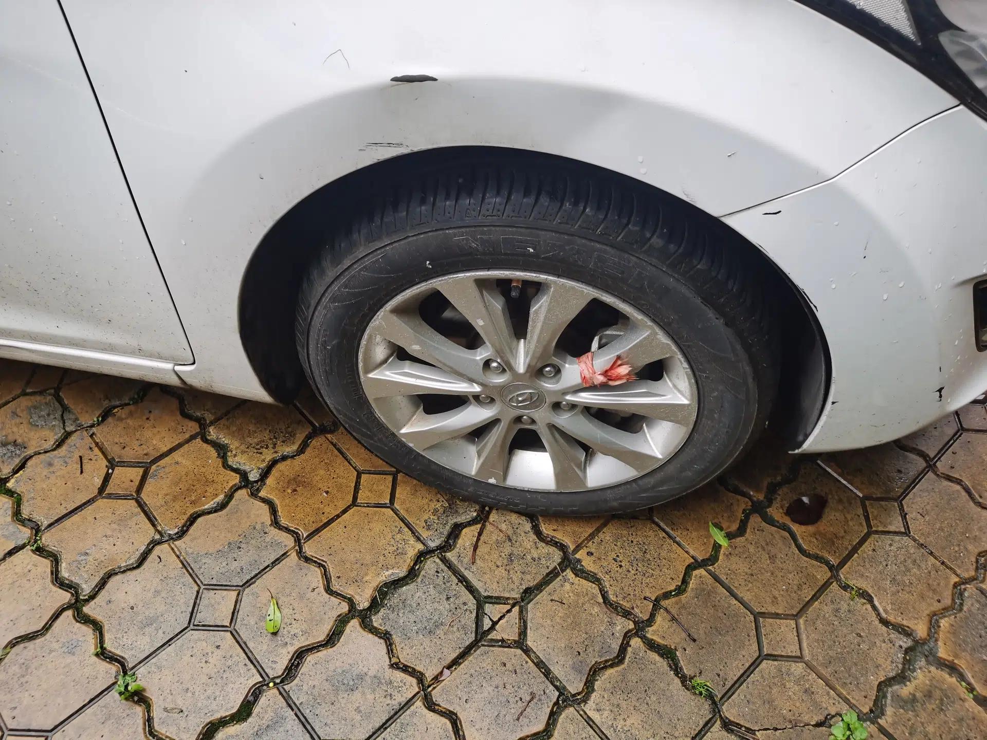 Hyundai Elantra (5th Generation / Langdong) 2016 1.6L Manual Luxury Model — миниатюра 8