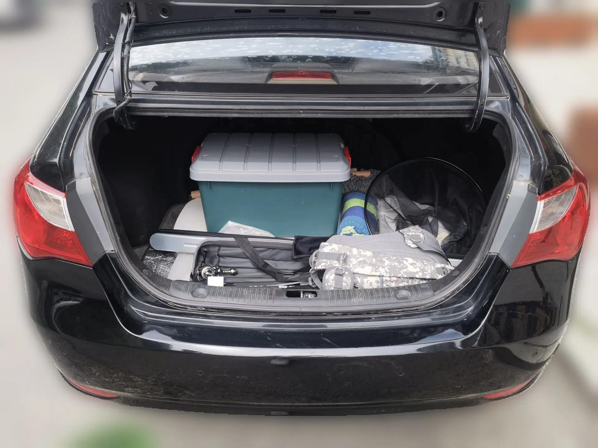 Hyundai Celesta 2011 1.6L Automatic Comfort Edition — миниатюра 20