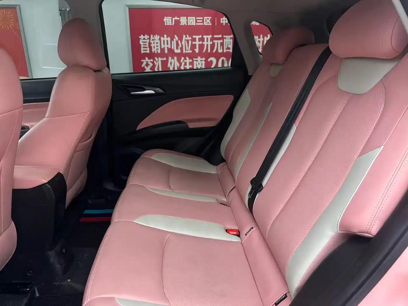 Nezha V 2022 Trendy 400 Lite Pink Custom Edition — миниатюра 11
