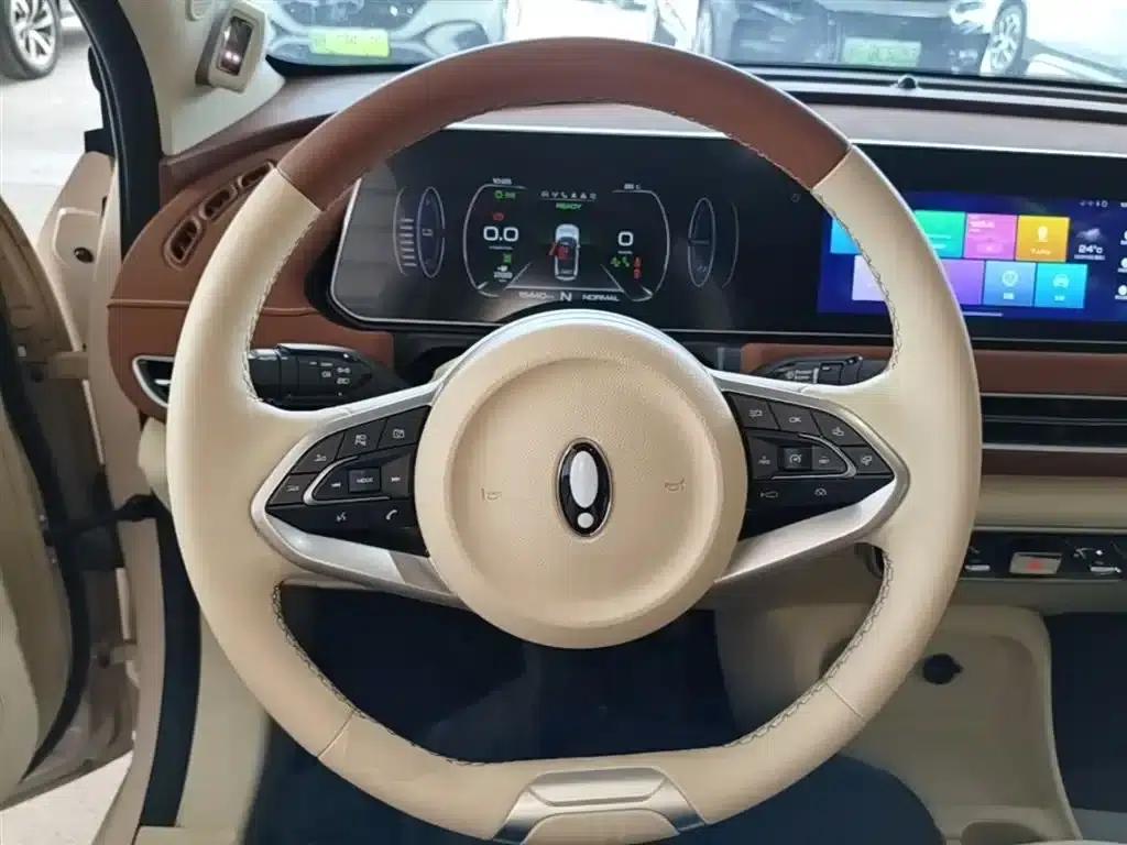 ORA Good Cat 2022 Morandi Edition, 400km Standard Range, Premium Model, Lithium Iron Phosphate — миниатюра 11