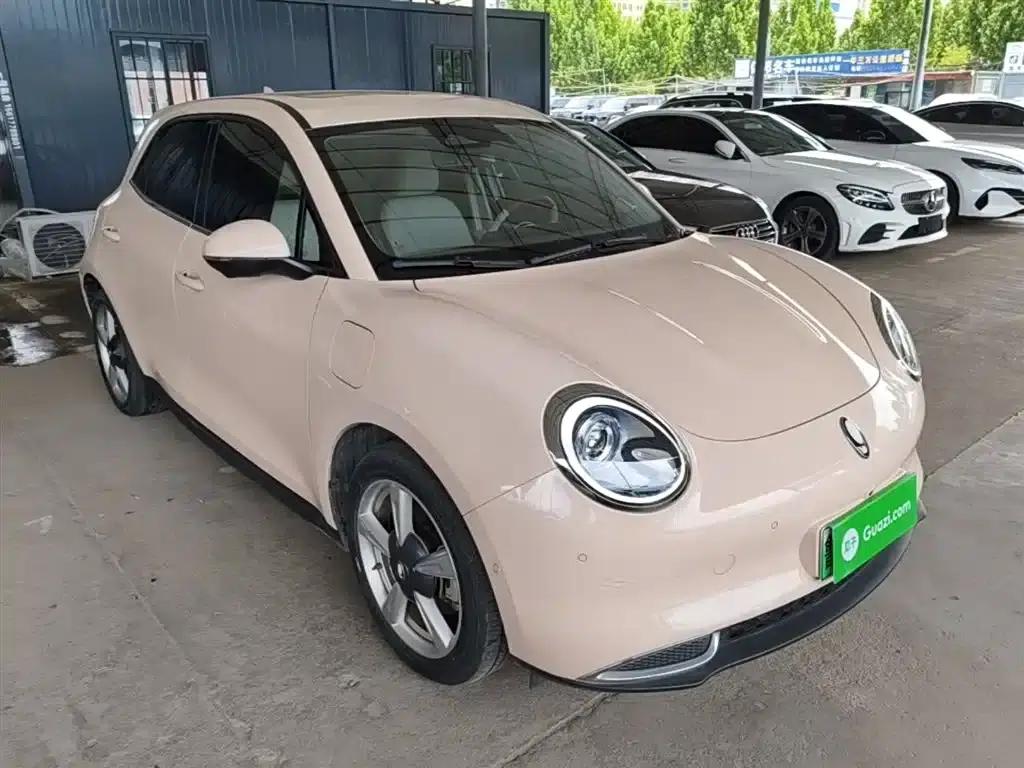 ORA Good Cat 2022 Morandi Edition, 400km Standard Range, Premium Model, Lithium Iron Phosphate — миниатюра 4