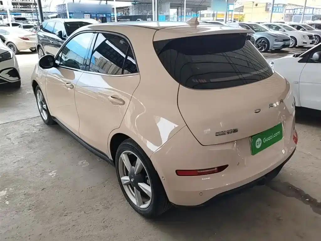 ORA Good Cat 2022 Morandi Edition, 400km Standard Range, Premium Model, Lithium Iron Phosphate — миниатюра 5