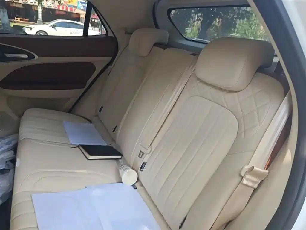 ORA Good Cat 2025 430km Luxury Edition — миниатюра 15