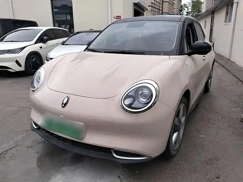 ORA Good Cat 2022 Model, 400km Standard Range, Luxury Edition, Lithium Iron Phosphate — миниатюра 2