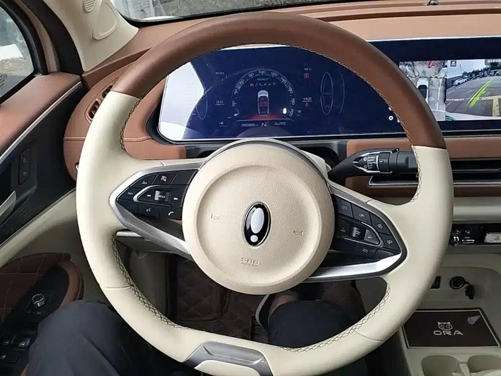 ORA Good Cat 2022 Model, 400km Standard Range, Luxury Edition, Lithium Iron Phosphate — миниатюра 11