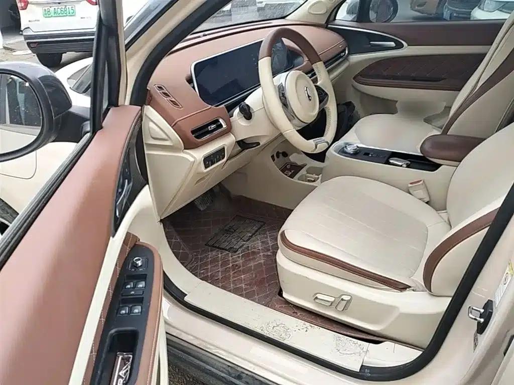 ORA Good Cat 2022 Model, 400km Standard Range, Luxury Edition, Lithium Iron Phosphate — миниатюра 15