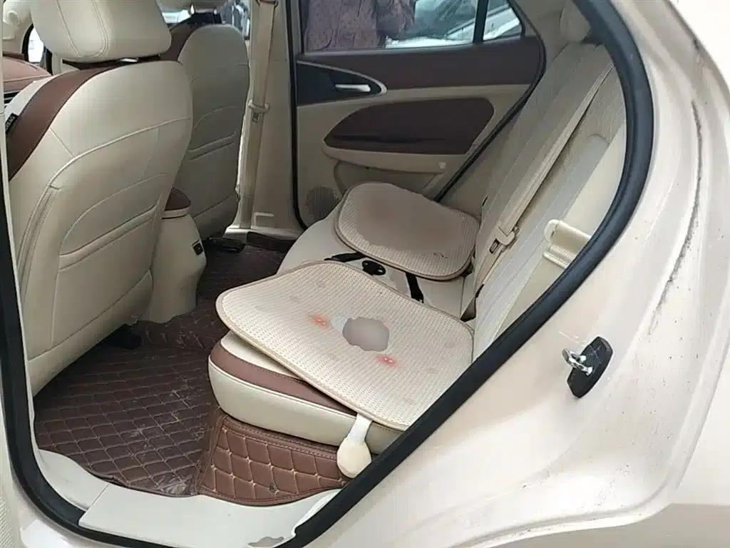 ORA Good Cat 2022 Model, 400km Standard Range, Luxury Edition, Lithium Iron Phosphate — миниатюра 16