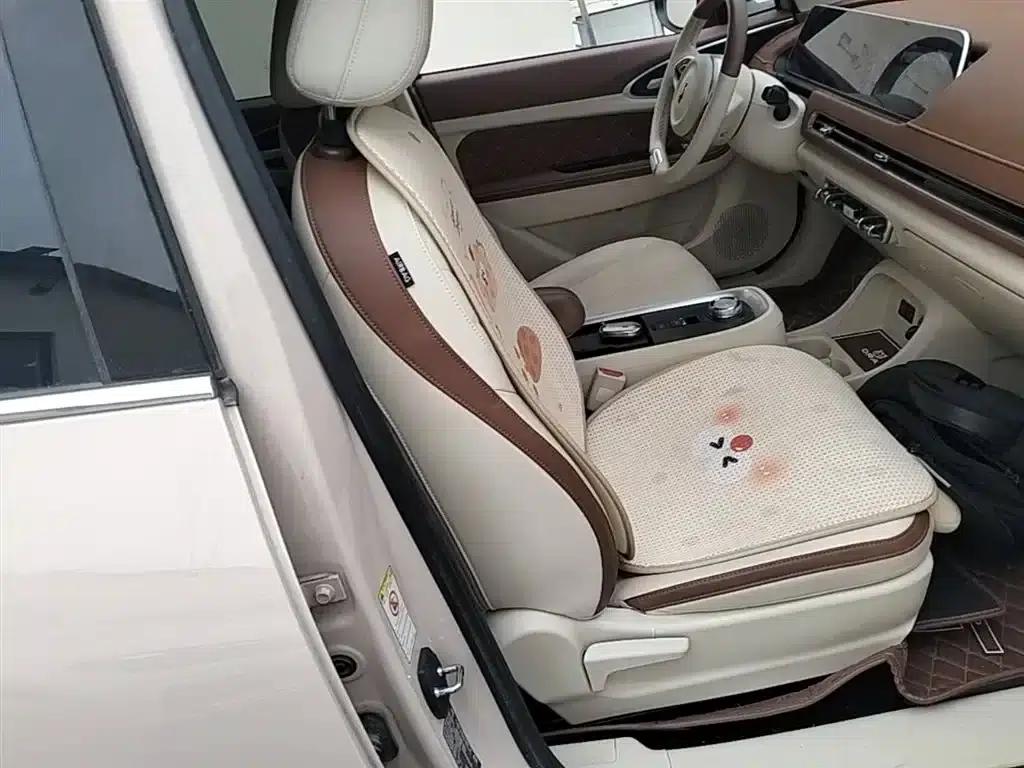 ORA Good Cat 2022 Model, 400km Standard Range, Luxury Edition, Lithium Iron Phosphate — миниатюра 24