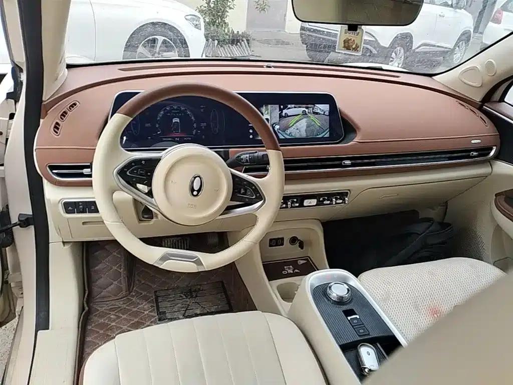 ORA Good Cat 2022 Model, 400km Standard Range, Luxury Edition, Lithium Iron Phosphate — миниатюра 10