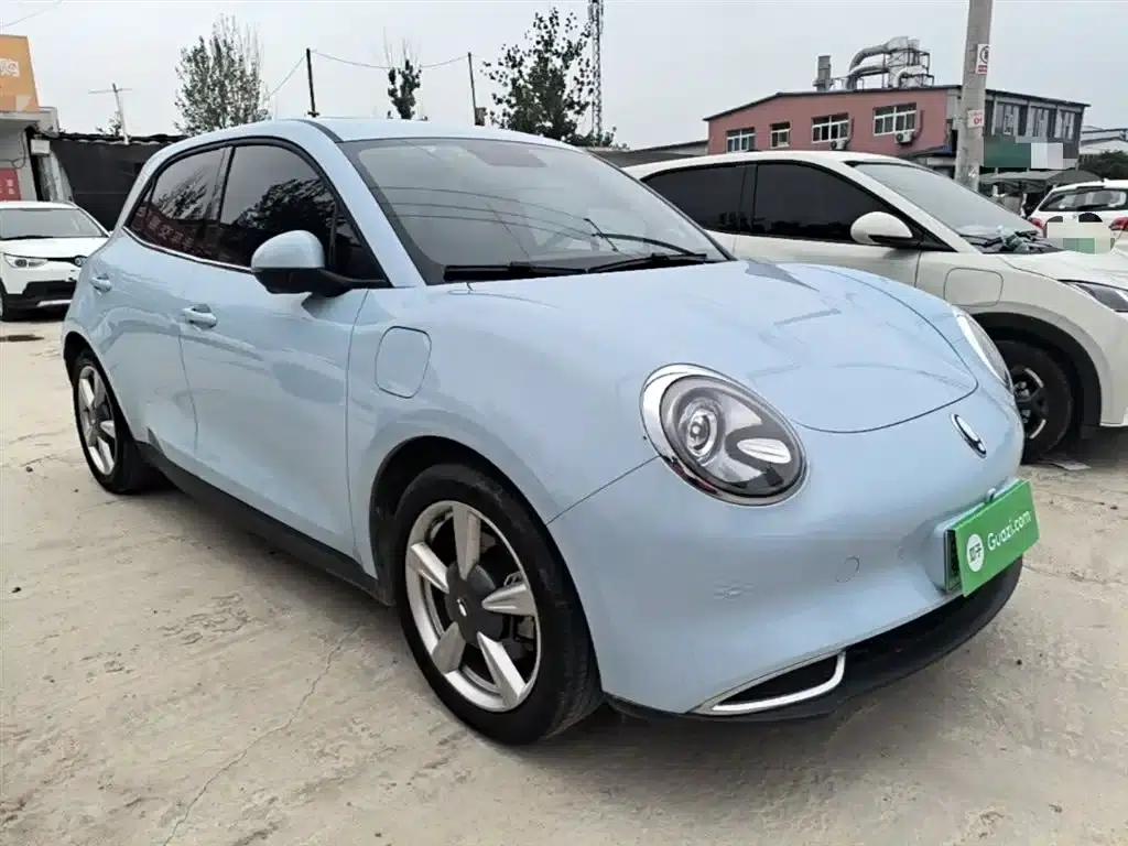 ORA Good Cat 2022 Morandi Edition, 400km Standard Range, Premium Model, Lithium Iron Phosphate — миниатюра 4