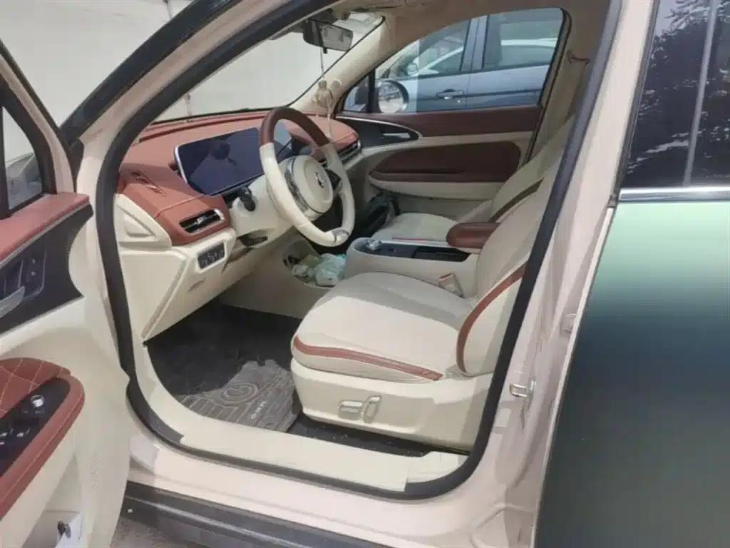 ORA Good Cat 2021 Model, 400km Standard Range, Athena Edition, Lithium Iron Phosphate — миниатюра 15