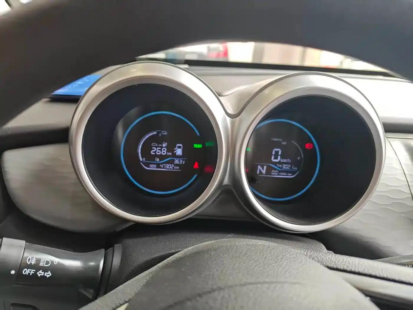 ORA Black Cat 2021 Model 301km Pet Edition — миниатюра 12