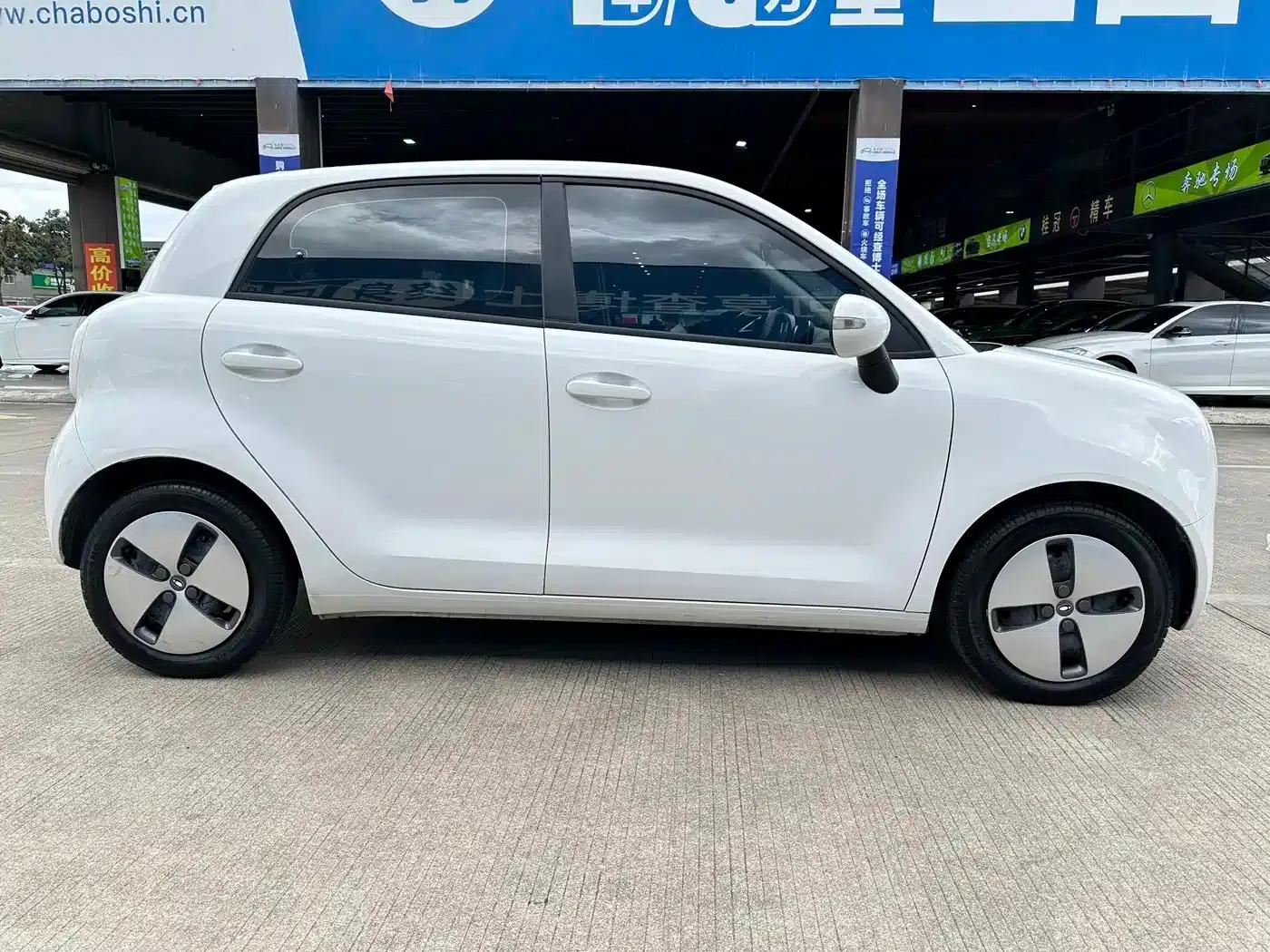 ORA Black Cat 2021 Model 301km Pet Edition — миниатюра 3