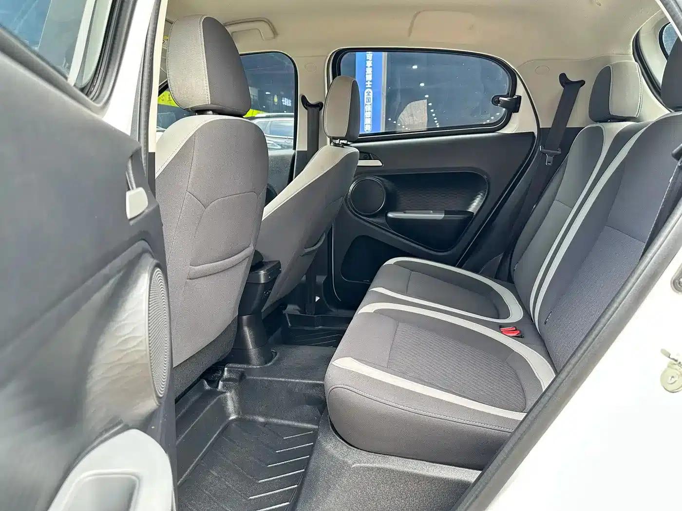 ORA Black Cat 2021 Model 301km Pet Edition — миниатюра 9