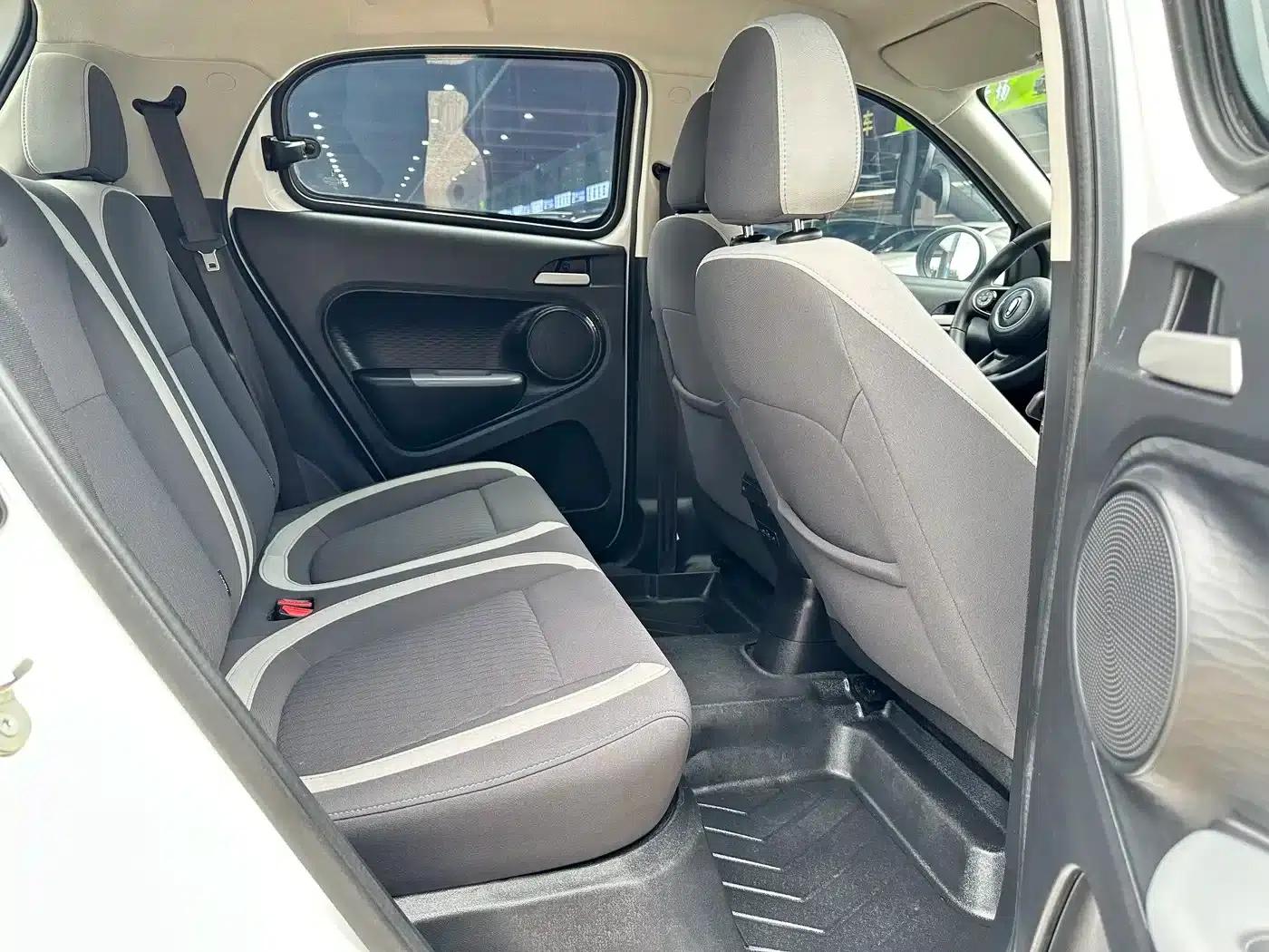 ORA Black Cat 2021 Model 301km Pet Edition — миниатюра 10