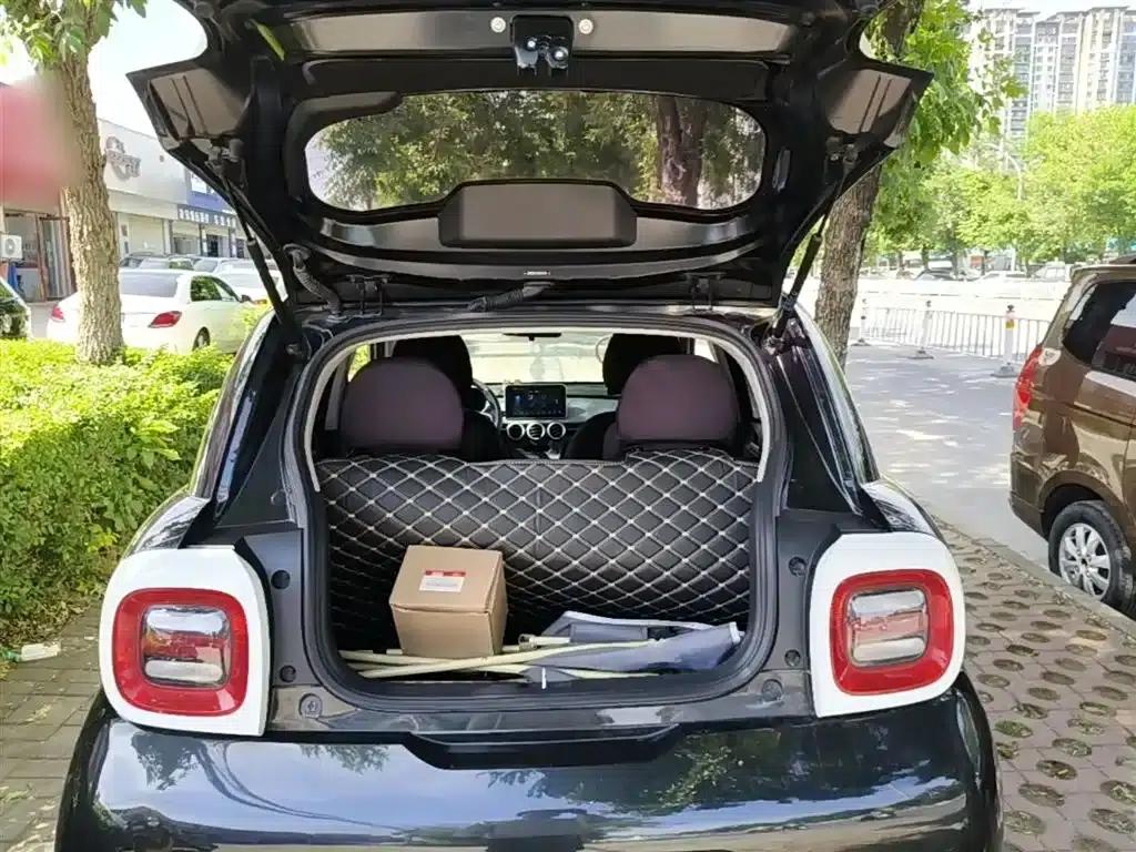 ORA Black Cat 2021 Model 301km Base Edition — миниатюра 15