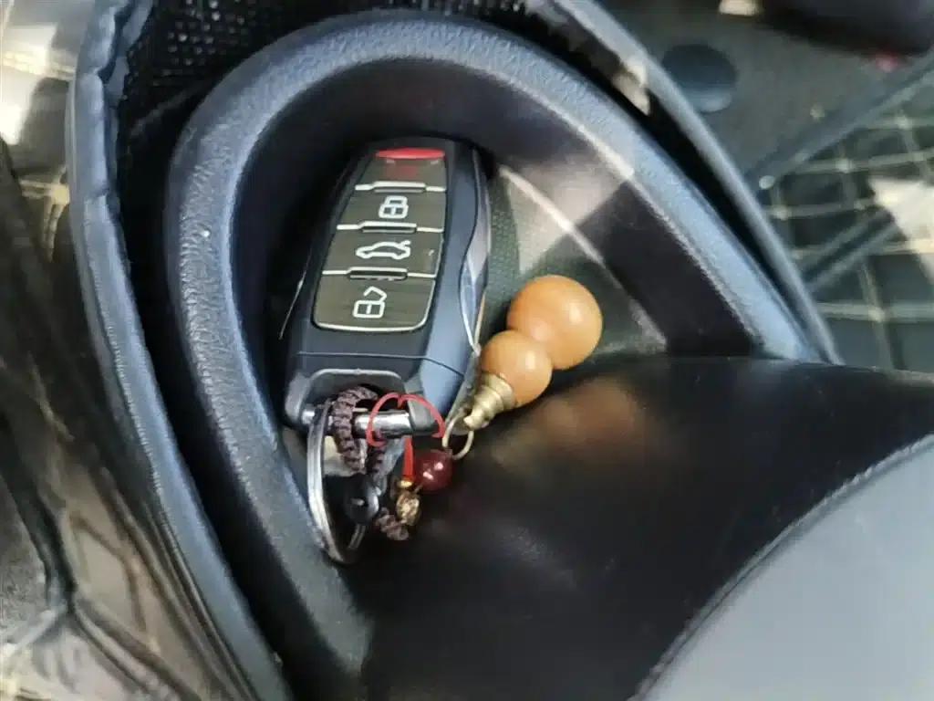 ORA Black Cat 2021 Model 301km Base Edition — миниатюра 17