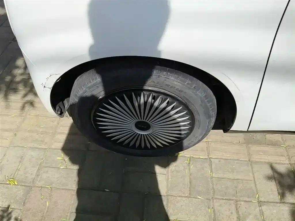 ORA Black Cat 2021 Model 301km Base Edition — миниатюра 25