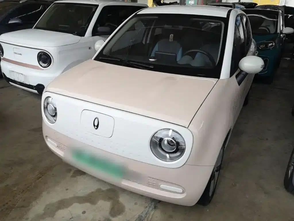ORA Black Cat 2022 Model 301km Pet Edition Lithium Iron Phosphate — миниатюра 2