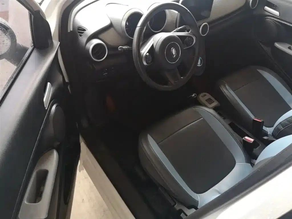 ORA Black Cat 2022 Model 301km Pet Edition Lithium Iron Phosphate — миниатюра 16