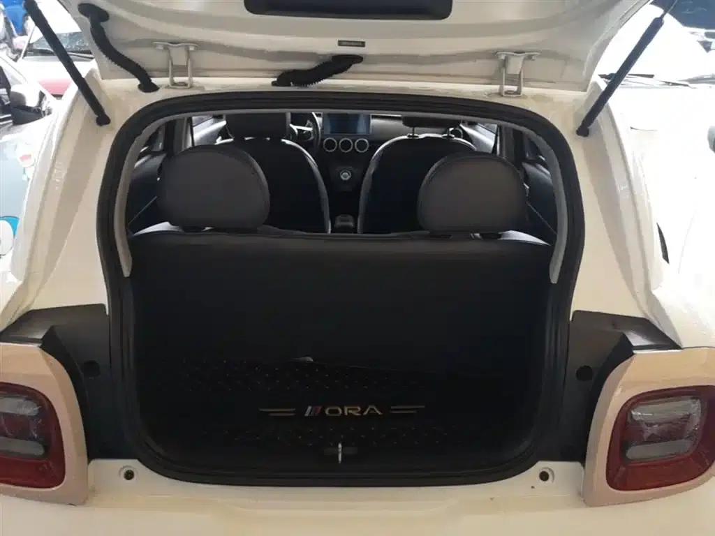 ORA Black Cat 2022 Model 301km Pet Edition Lithium Iron Phosphate — миниатюра 19