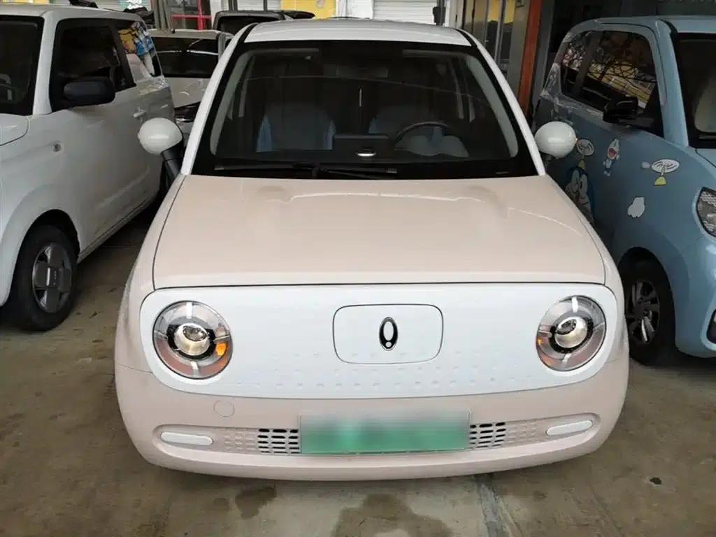 ORA Black Cat 2022 Model 301km Pet Edition Lithium Iron Phosphate — миниатюра 3