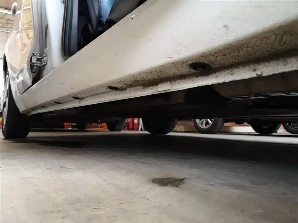 ORA Black Cat 2022 Model 301km Pet Edition Lithium Iron Phosphate — миниатюра 21