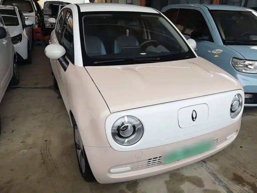 ORA Black Cat 2022 Model 301km Pet Edition Lithium Iron Phosphate — миниатюра 4