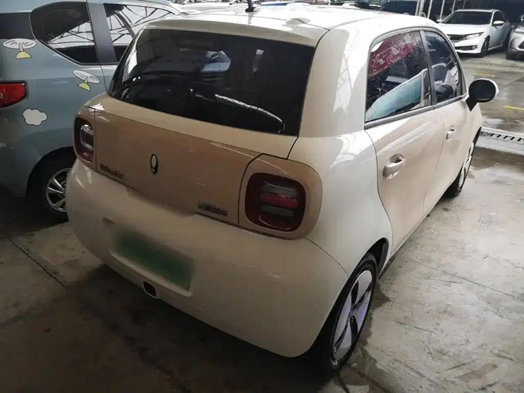 ORA Black Cat 2022 Model 301km Pet Edition Lithium Iron Phosphate — миниатюра 7