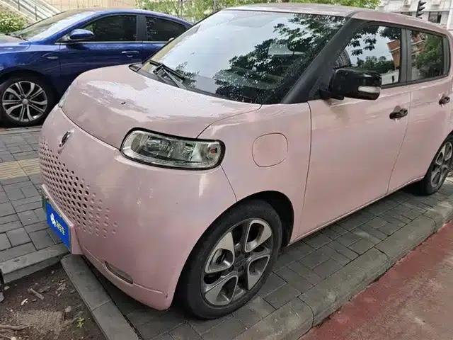 ORA White Cat 2022 Upgraded Version 305km Luxury Triple Lithium Lithium