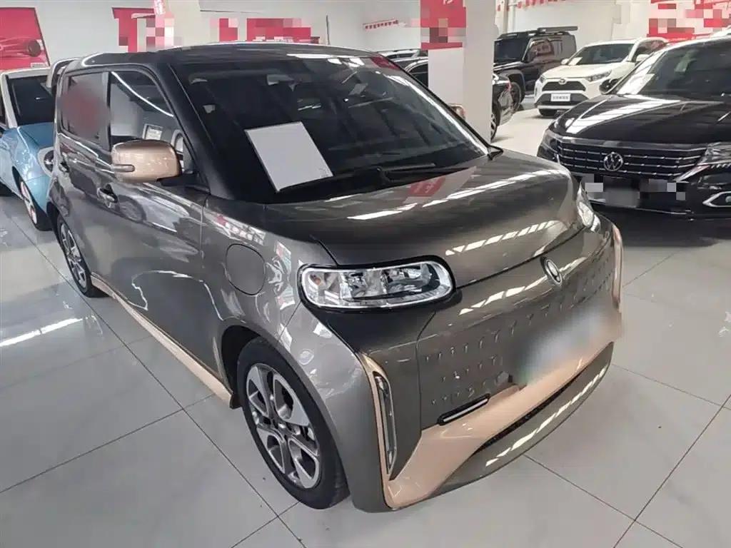 ORA White Cat 2022 Little Wildcat Edition 360km Luxury Triple Lithium Lithium — миниатюра 4