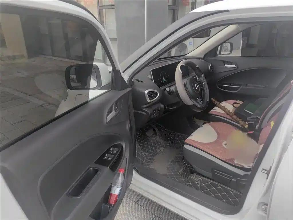 ORA White Cat 2020 360km Luxury Edition — миниатюра 14