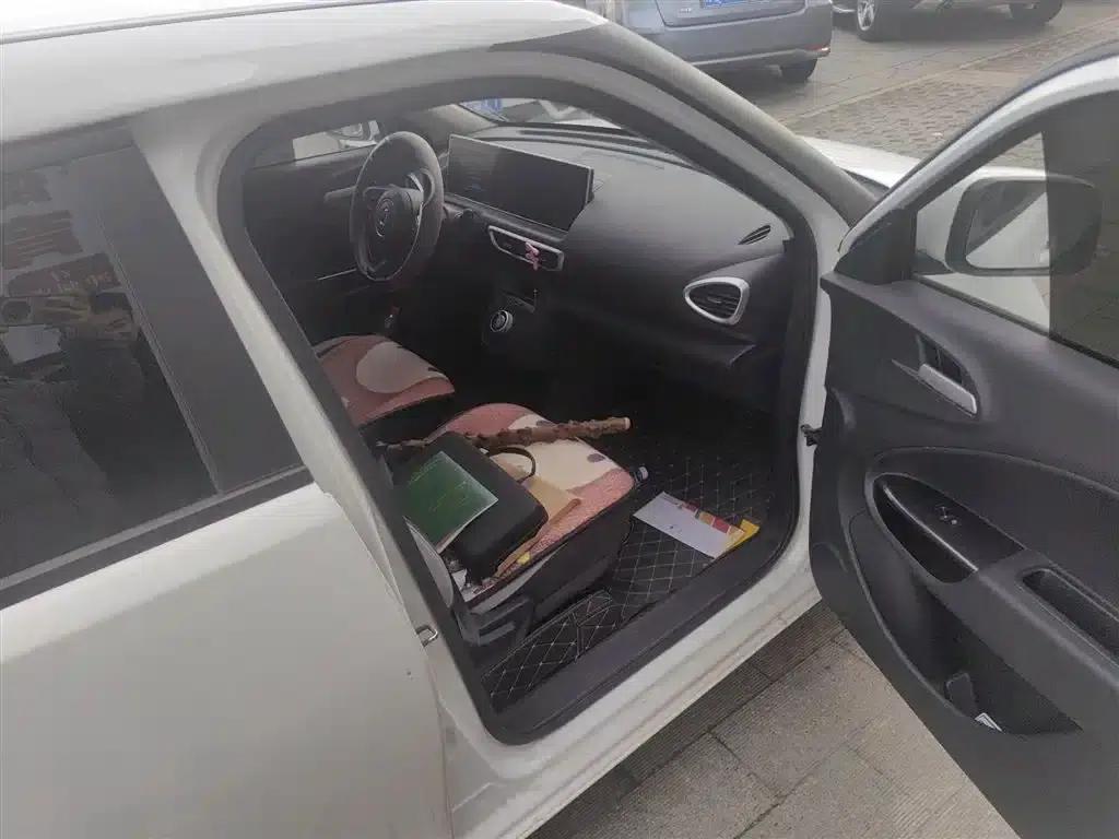 ORA White Cat 2020 360km Luxury Edition — миниатюра 20