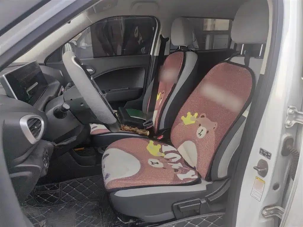ORA White Cat 2020 360km Luxury Edition — миниатюра 8