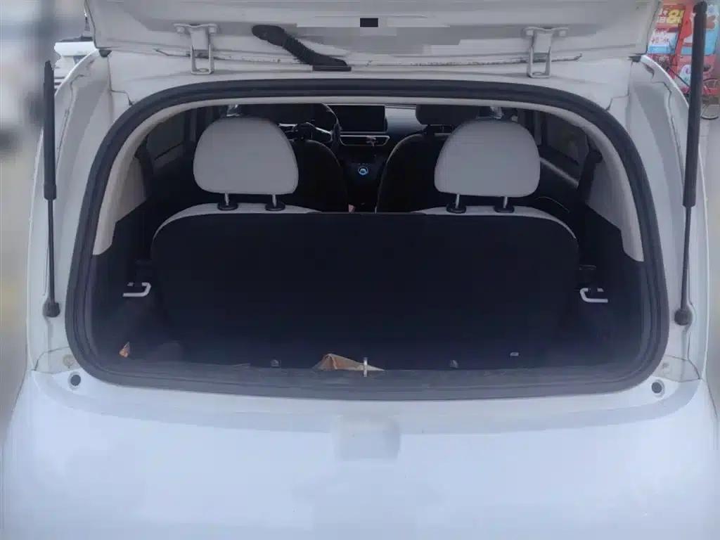 ORA White Cat 2020 360km Luxury Edition — миниатюра 10