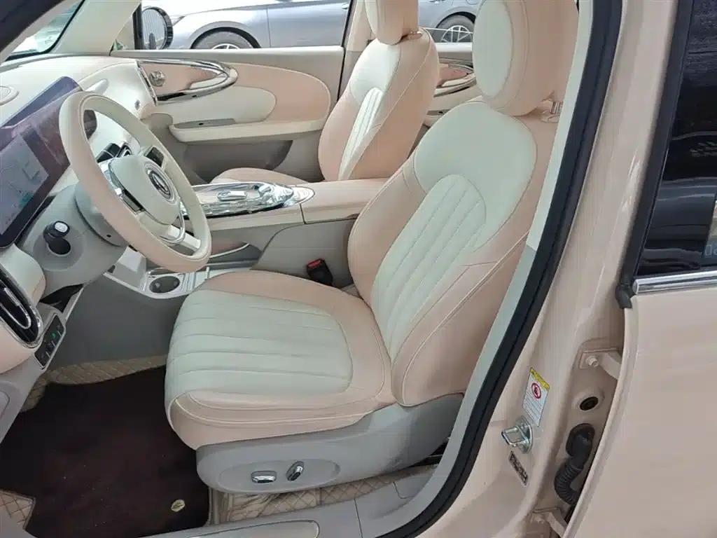 Euler Ballet Cat 2022 Model 401km Alice Edition — миниатюра 15