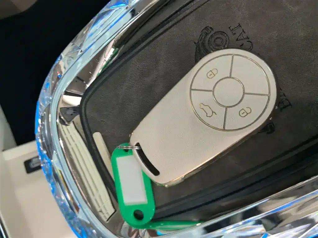 Euler Ballet Cat 2022 Model 401km Nutcracker Edition — миниатюра 9