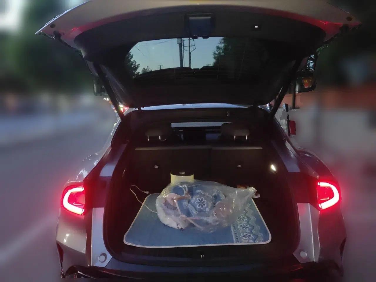 Xiaomi Auto YU7 2025 Ultra-Long Range Rear-Wheel Drive Version — миниатюра 20